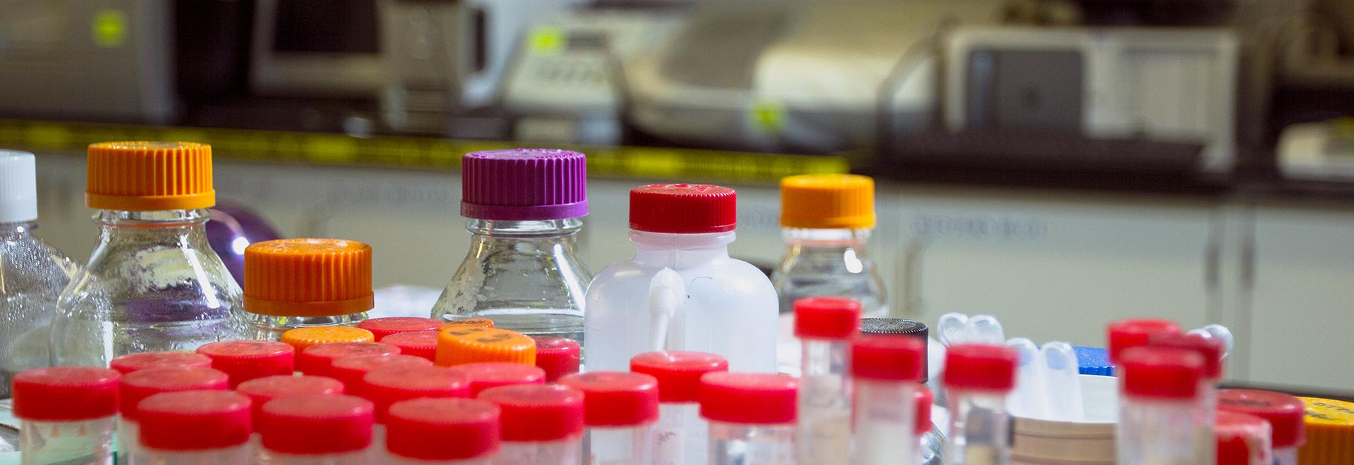 Bottles in laboratory Bottles in laboratory