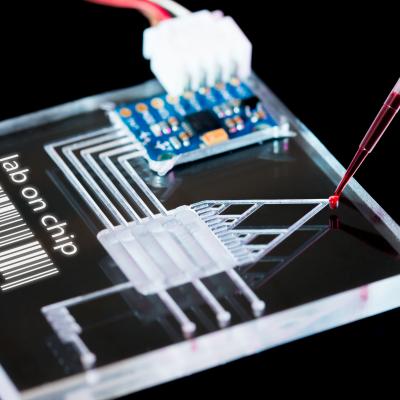 Image of a Diagnostic Microchip
