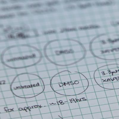 Laboratory Notebook