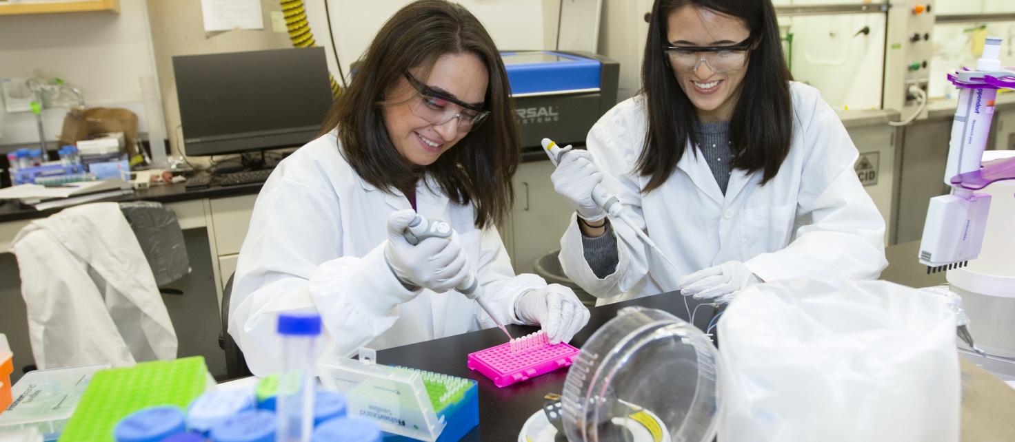 PhD candidates Peivand Mousavi and Jenise Chen working together in lab