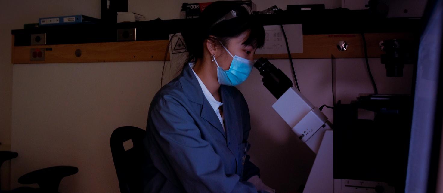 Photo of Gang Lab Member Tiffany Ho working on a microscope