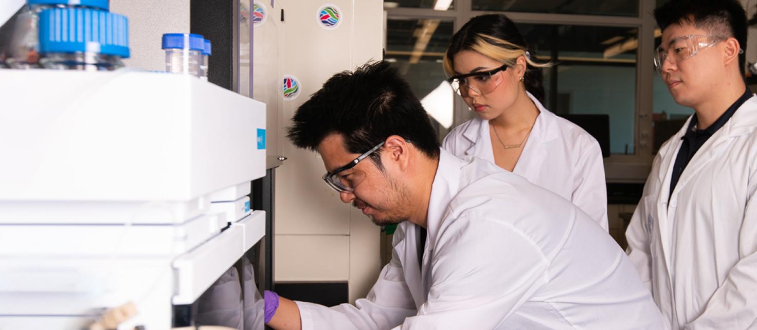 Photo of members of Prof Bowen Li's lab working in lab space