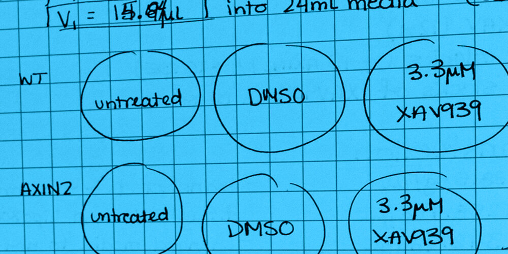 Diagrams in a lab book