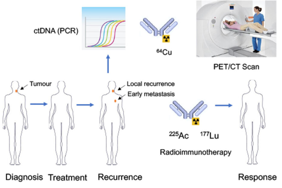 Diagram of PET Theranostic Approach