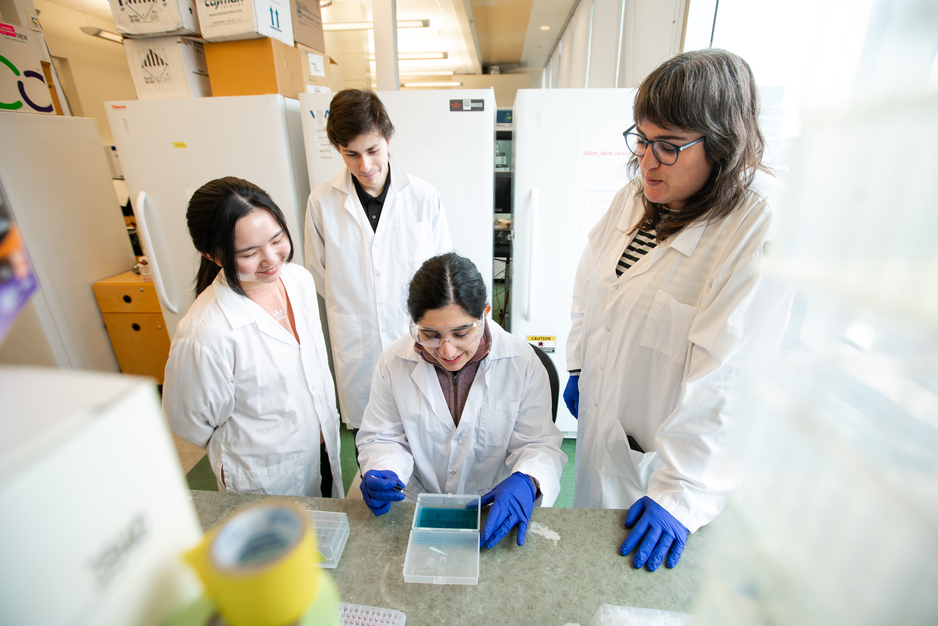 Assistant Professor Rachel Harding with lab members in lab coats talking