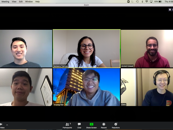 CDEI team on Zoom call