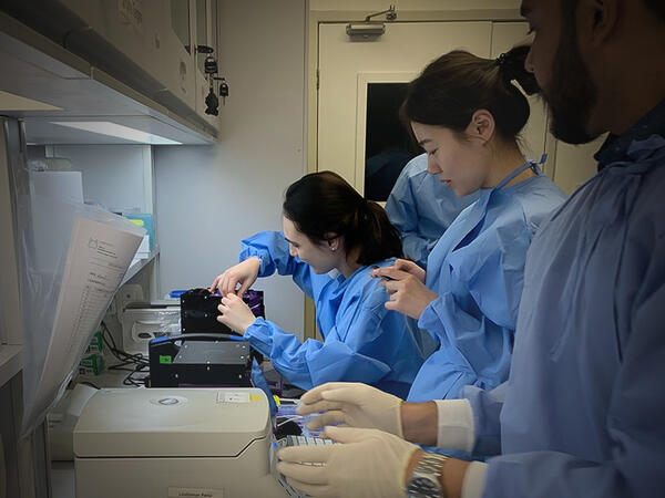 Members of the Pardee lab working on PLUM diagnostic device