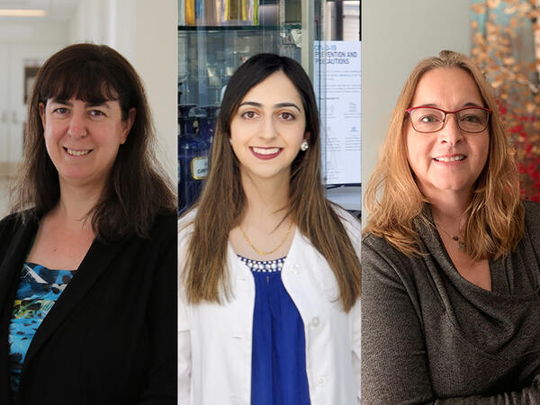 Portraits of Preceptors Andrea Beamn, Jasneet Dulai and Beth McMullen