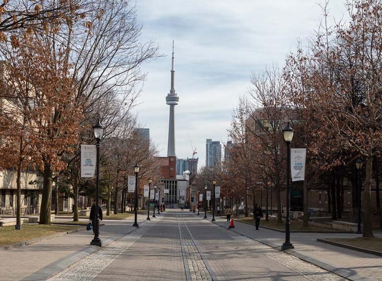 University of Toronto Campus in the Fall - Photo by Johnny Guatto Photo of University of Toronto Campus in the Fall