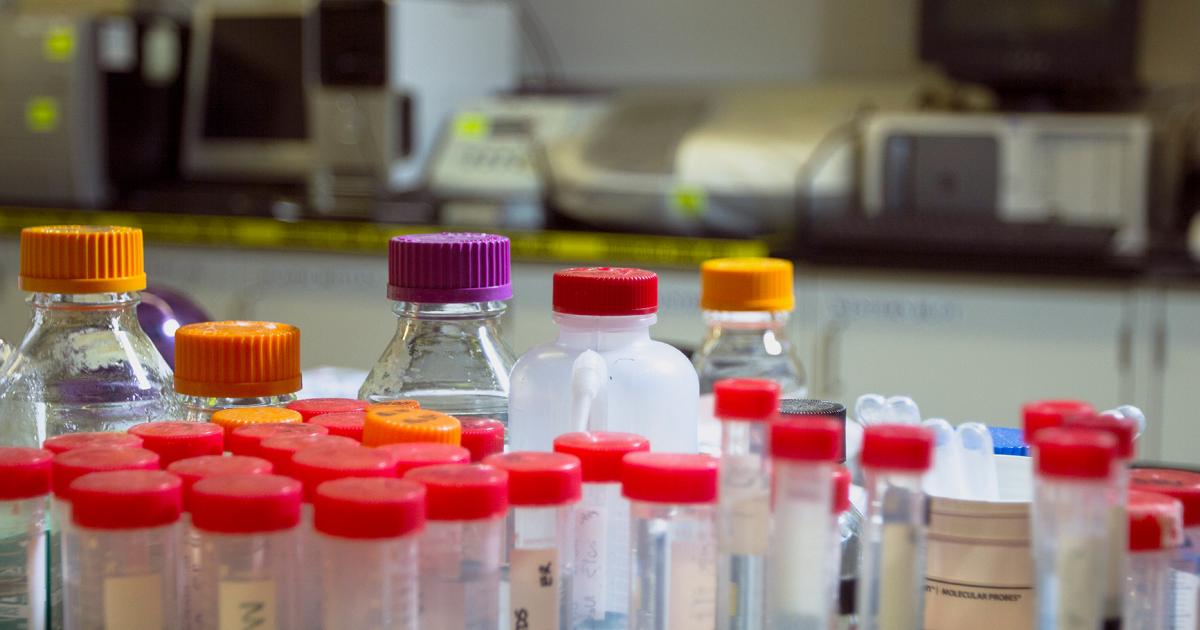 Master of Science in Pharmaceutical Sciences (MSc ...