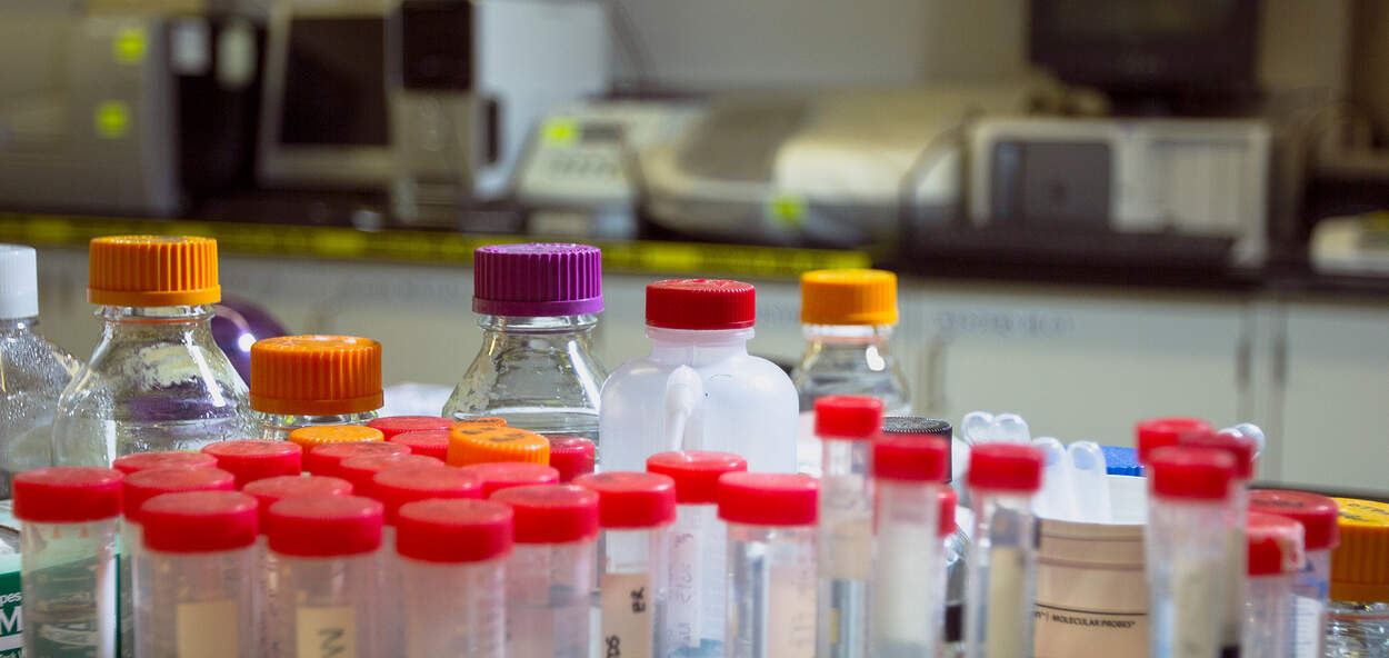Bottles in laboratory Bottles in laboratory