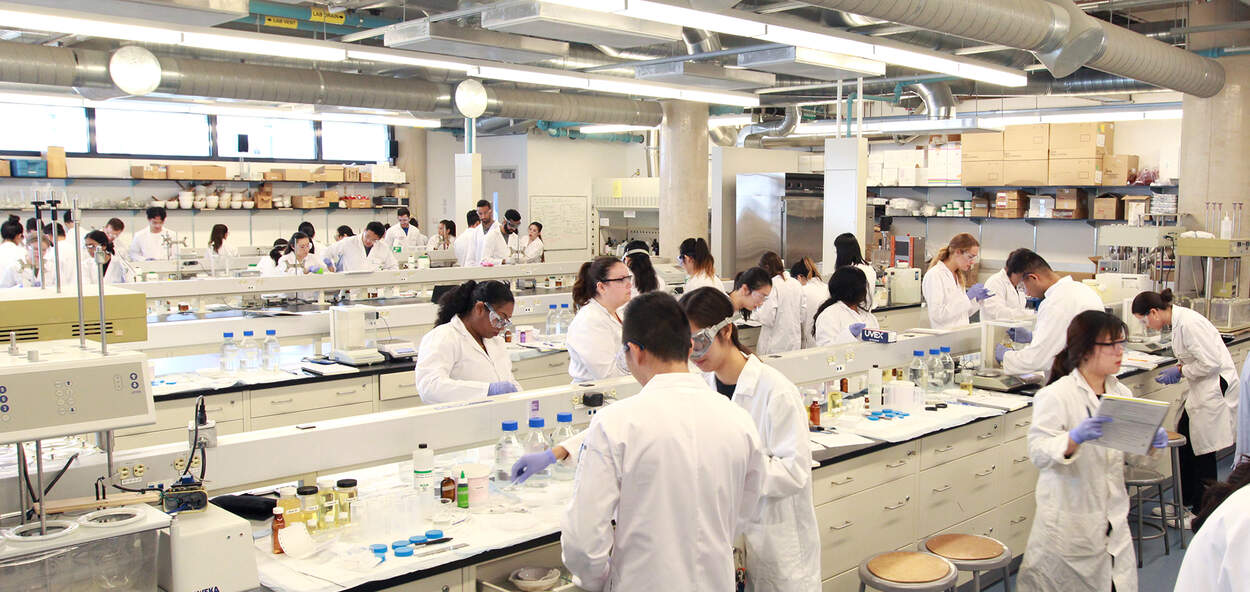 Students in the compounding lab at the Leslie Dan Faculty of Pharmacy