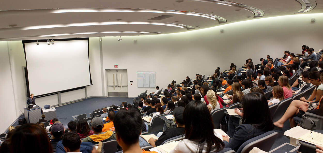 Students in lecture