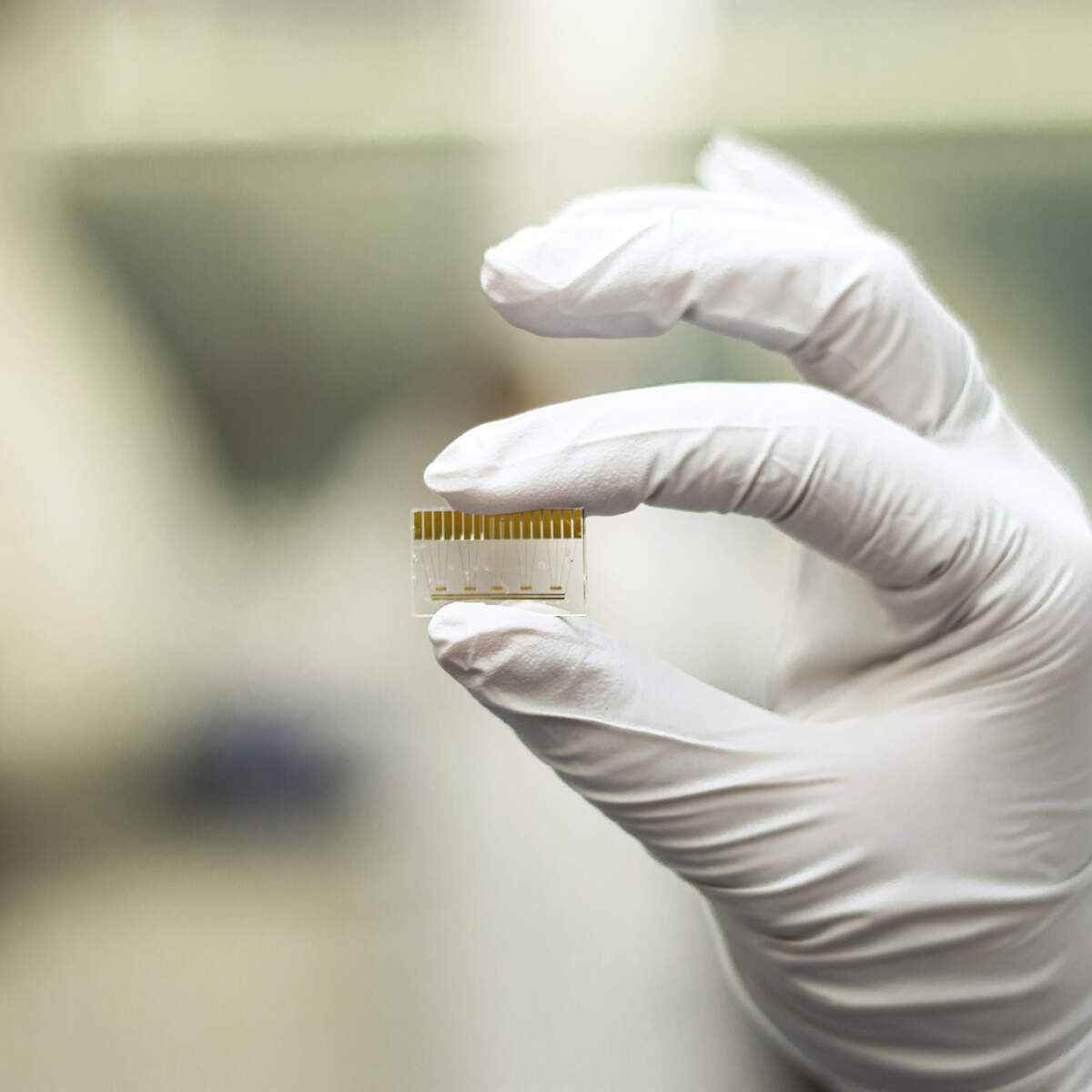 Disease Diagnostic Chip