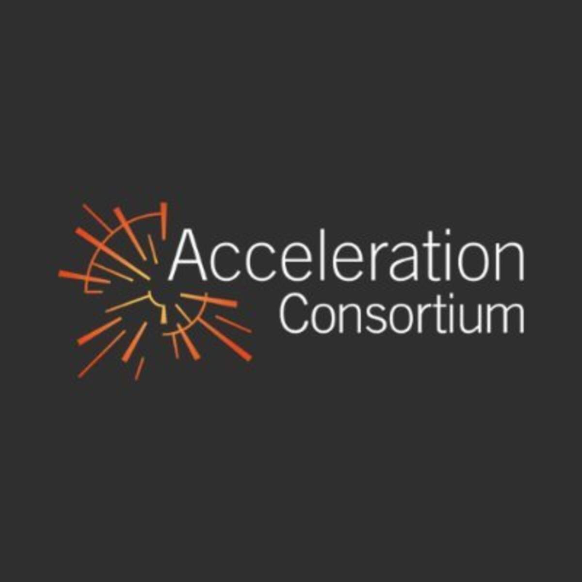 Acceleration Consortium logo on black background